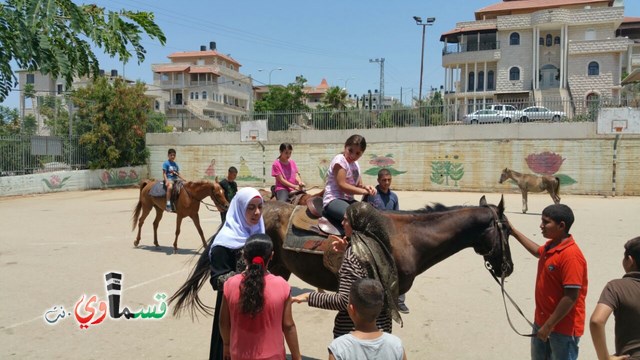 كفرقاسم - فيديو  : تعليم هواية ركوب الخيل في مدرسة جنة ابن رشد في اليوم الرابع لصيف الصادقة 